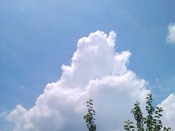 真夏の雲.JPG